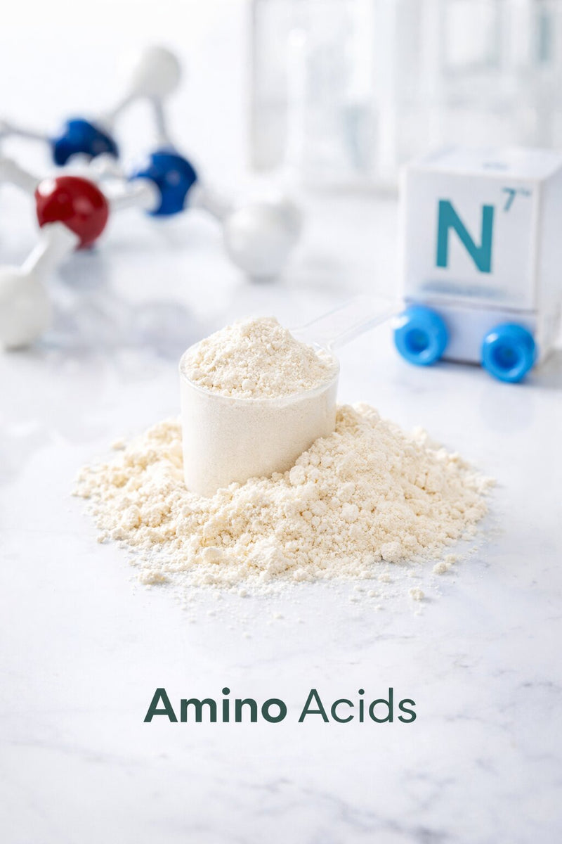 Amino Acids