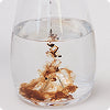 Mineral Replenishment