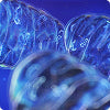 Mitochondrial Production
