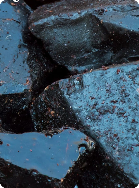 The highest bio-available raw ingredients from every corner of the planet.